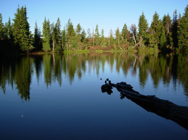 Summer '06 Sunriver II 013 